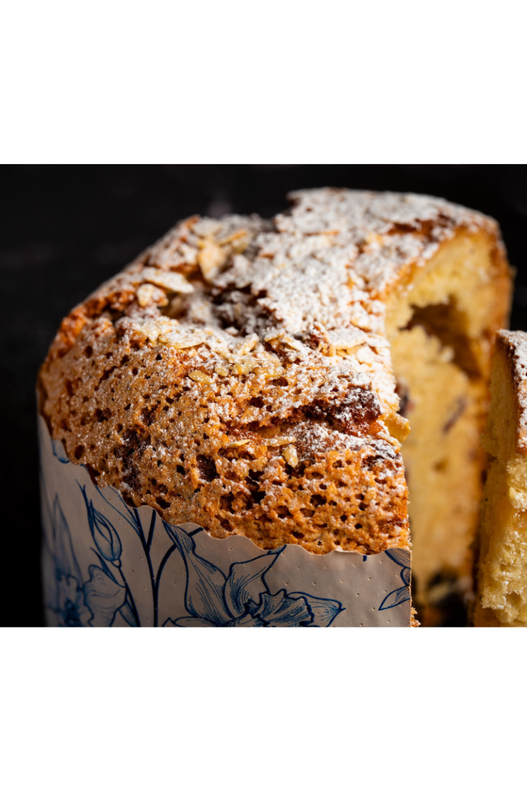 Veebikoolitus – Panettone