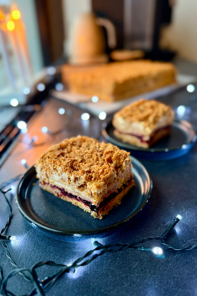 Veebikoolitus – Napoleonikook